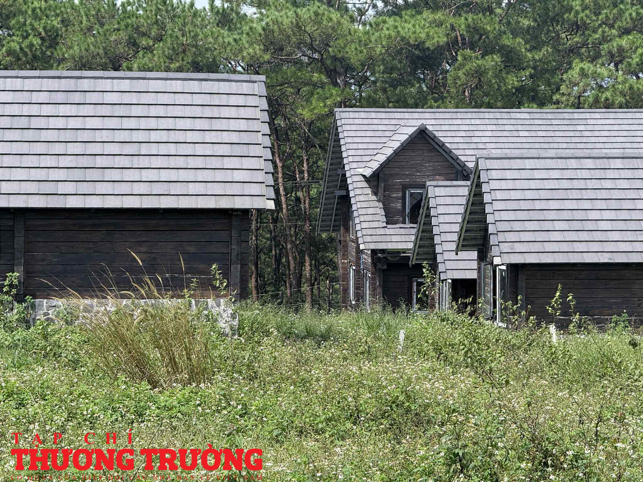 Khu biệt thự rừng thông có tên Amavi Village của Amavi group hoang tàn, nhếch nhác sau khi rao bán rầm rộ