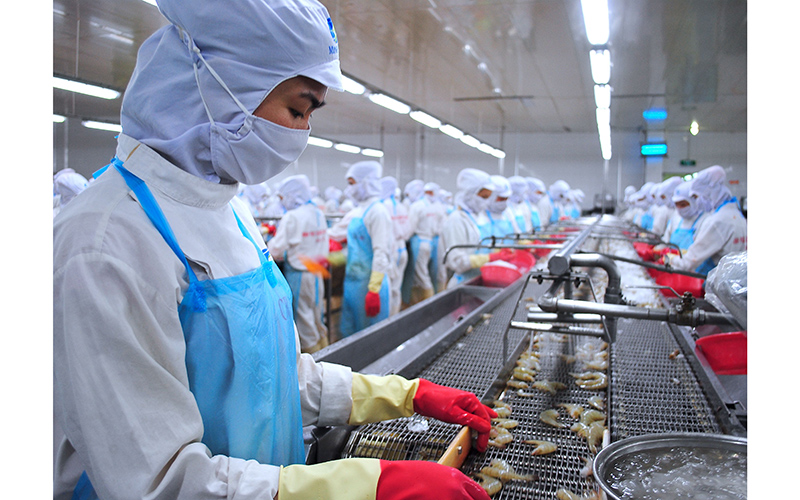 Xuất khẩu tôm đạt 25 tỷ USD sau 7 tháng Tăng mạnh ở châu Á lao đao ở Mỹ vì thuế 20