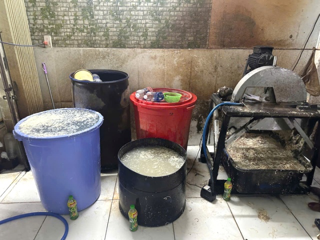 Đà Nẵng Phát hiện cơ sở không có giấy phép kinh doanh, sử dụng hóa chất để tẩy trắng hoa chuối