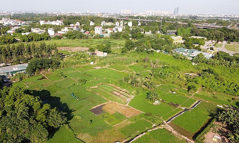 Cần cơ chế giám sát chặt chẽ để hạn chế tình trạng sai lệch, lạm quyền trong định giá