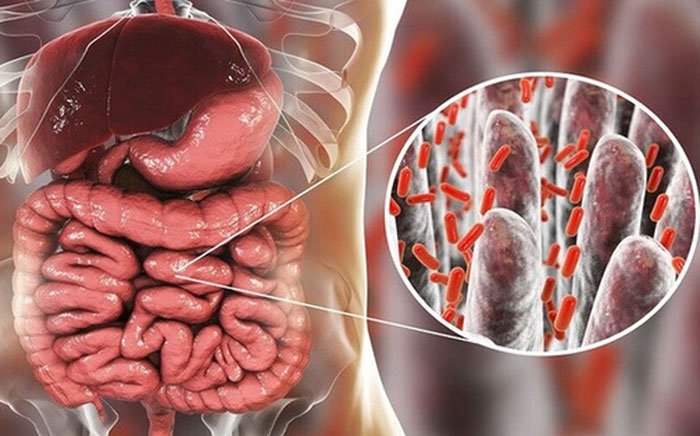 Những thói quen ăn uống âm thầm tàn phá đường ruột, gây ung thư