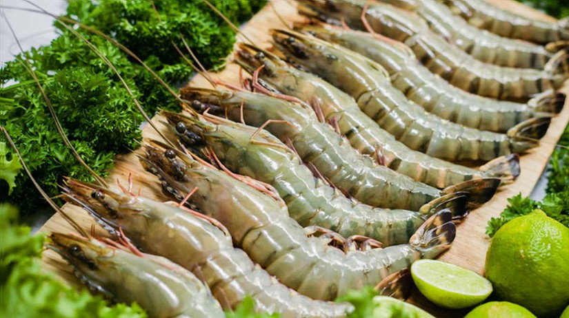 Trở ngại của tôm Việt Nam tại thị trường Trung Quốc