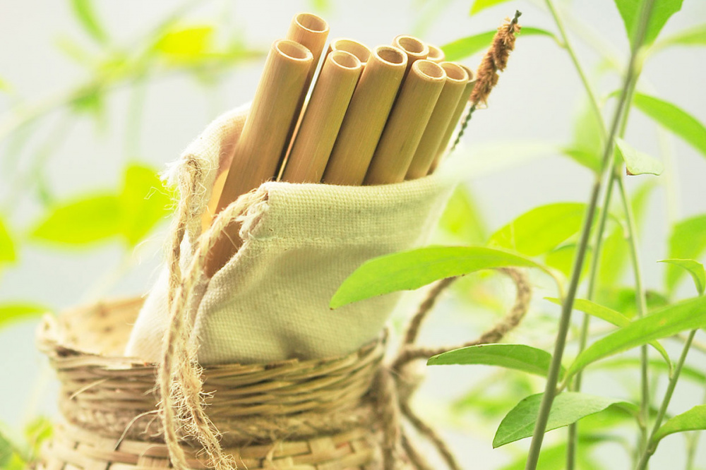 Người Việt sẵn sàng chi nhiều hơn để sống xanh