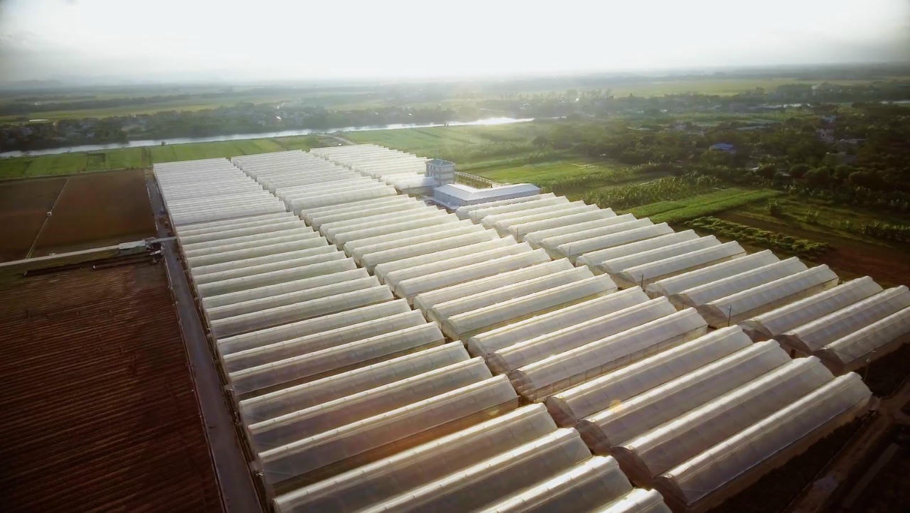 Pan Farm báo lãi hơn 264 tỷ đồng nửa đầu 2025, nợ vay ngân hàng tăng gấp 4 lần