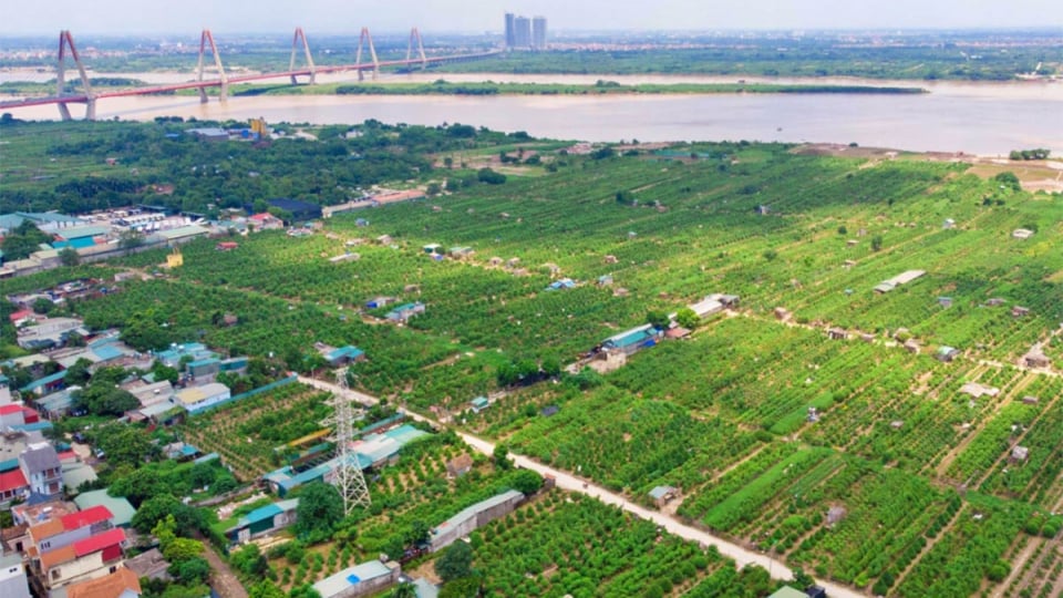 HoREA kiến nghị giảm mức thu tiền chuyển mục đích từ đất nông nghiệp sang đất ở