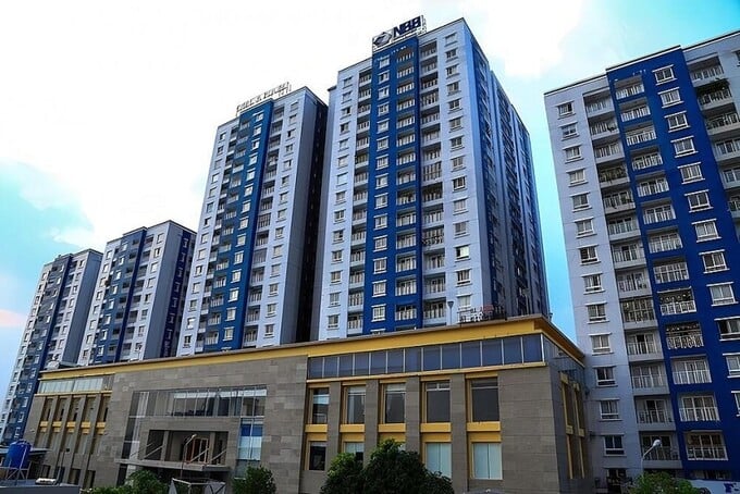 Năm Bảy Bảy (NBB) trình cổ đông thông qua việc CII Invest nâng sở hữu vượt 50%