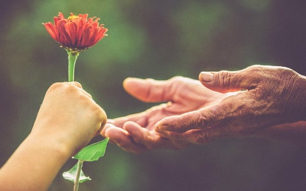 6 cách sống đáng tiền giữ bạn vững vàng giữa một xã hội đầy bon chen