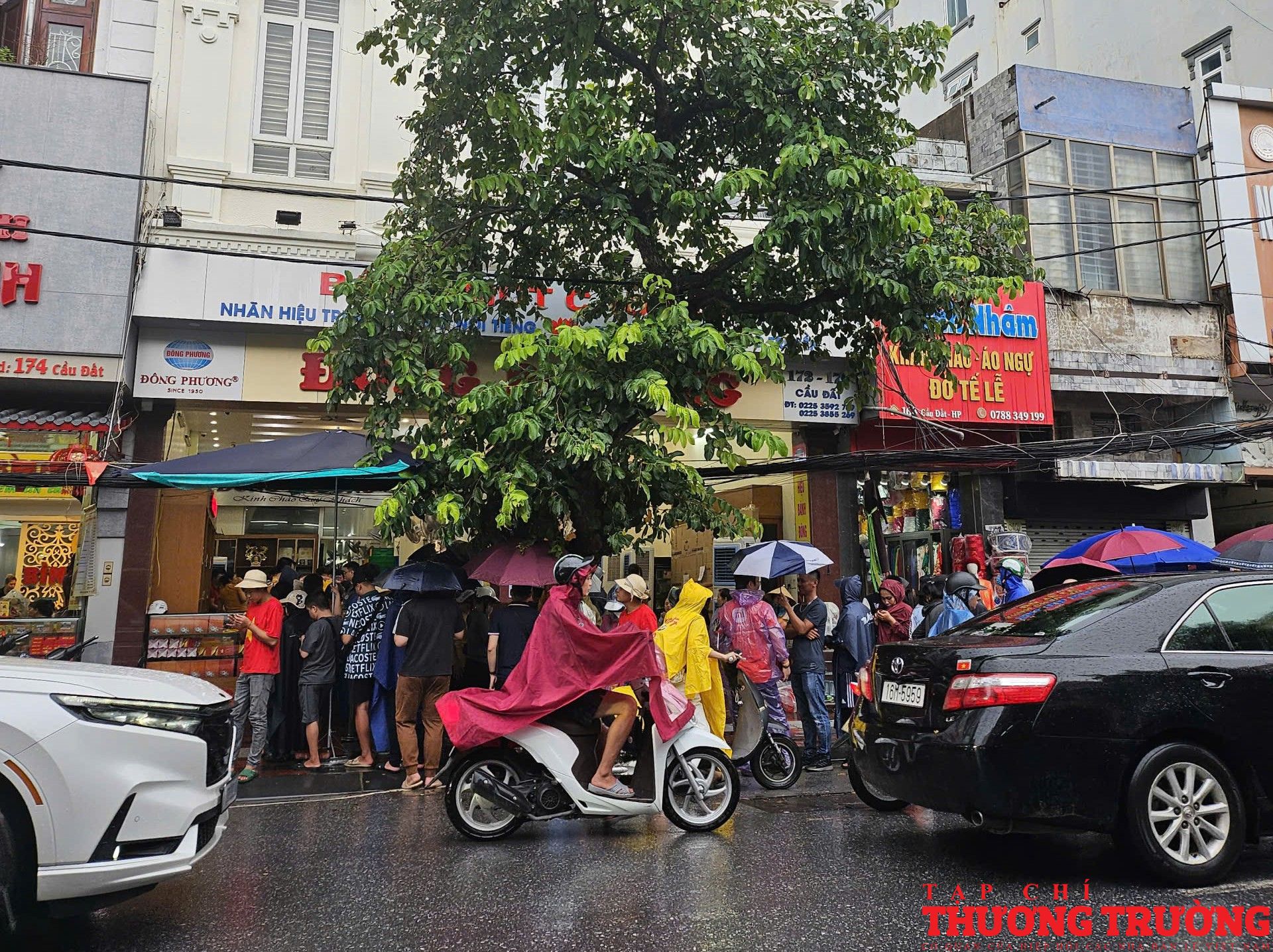Nhiều người đội mưa, xếp hàng mua bánh trung thu đặc sản của Hải Phòng