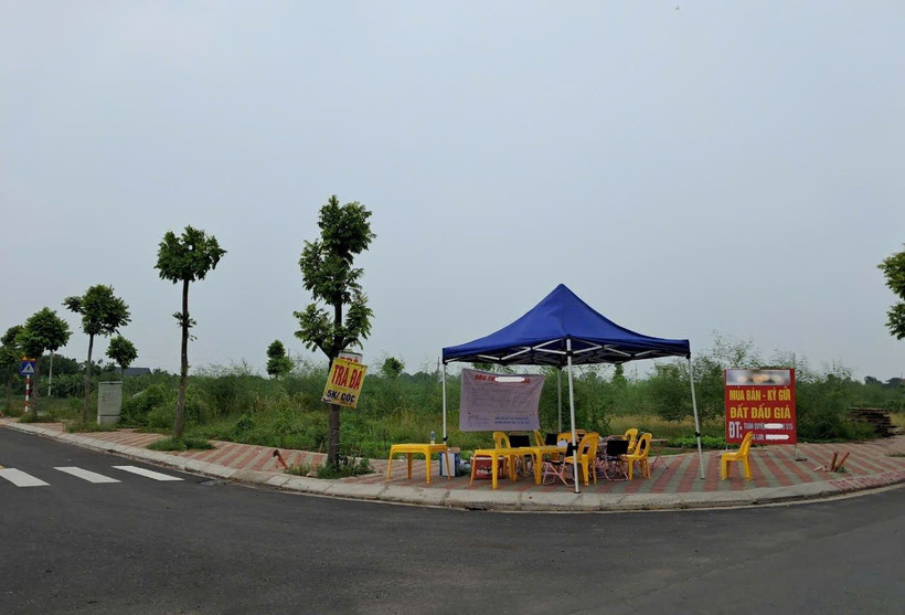 Nhà ảo, chiêu trò thật “luật rừng” của môi giới bất động sản