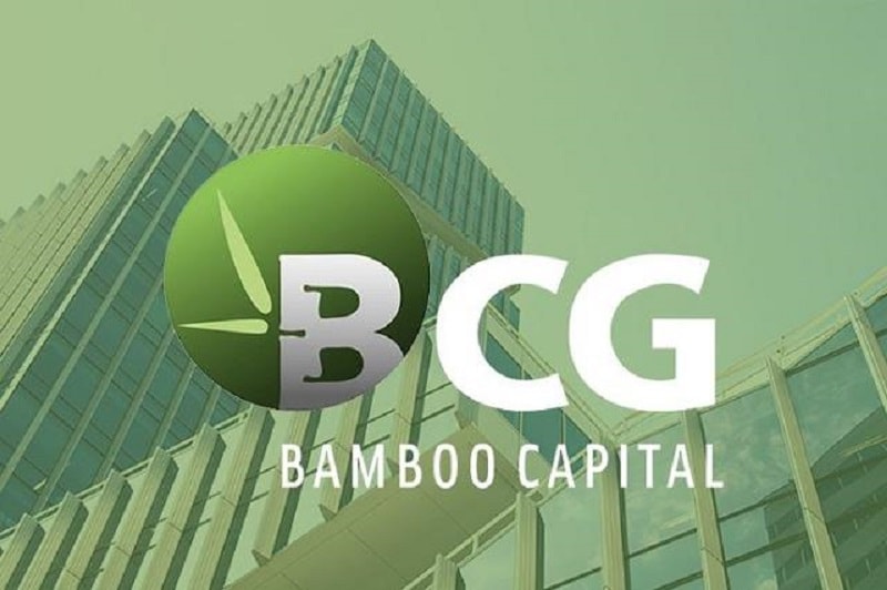 Đình chỉ giao dịch 2 cổ phiếu họ Bamboo Capital