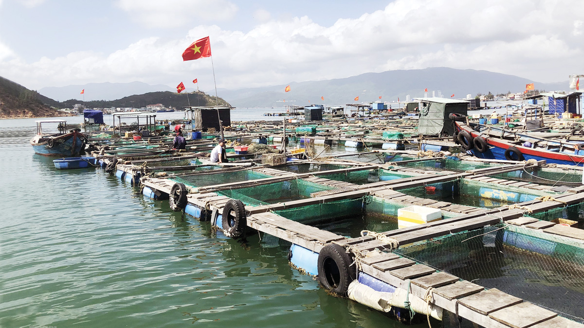 Chuyển đổi năng lượng sạch – con đường tất yếu cho thủy sản Việt Nam