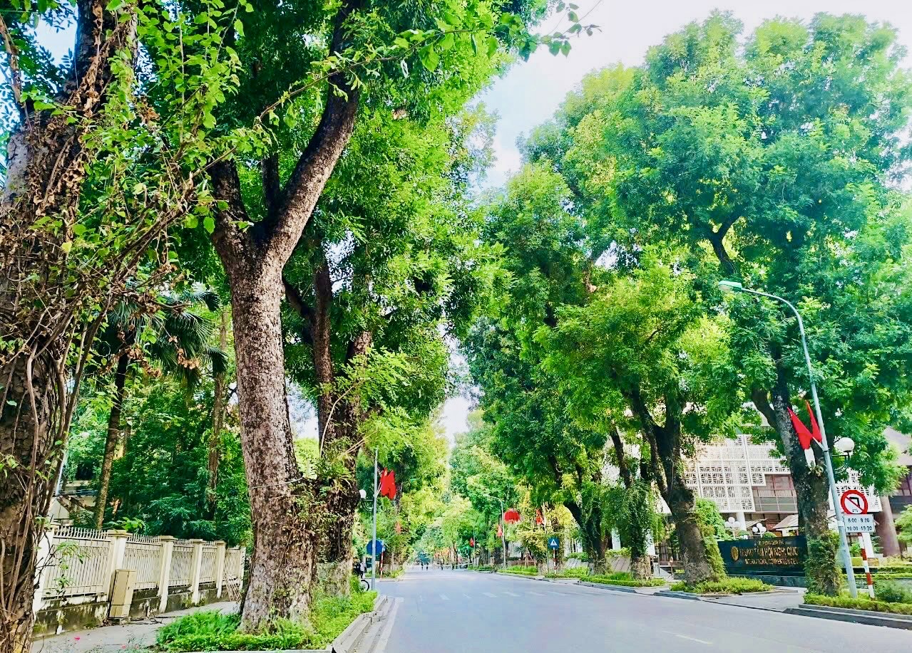 Công an Cà Mau yêu cầu rà soát các dự án cây xanh trên địa bàn