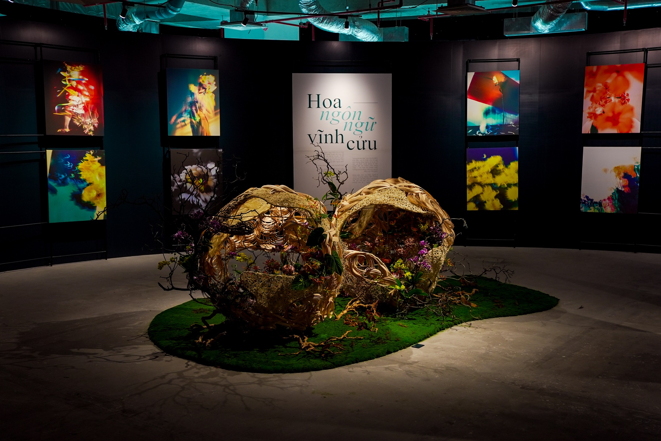 Tinh Tuyển Phương Hoa – Hành trình nghệ thuật dành riêng cho giới tinh hoa