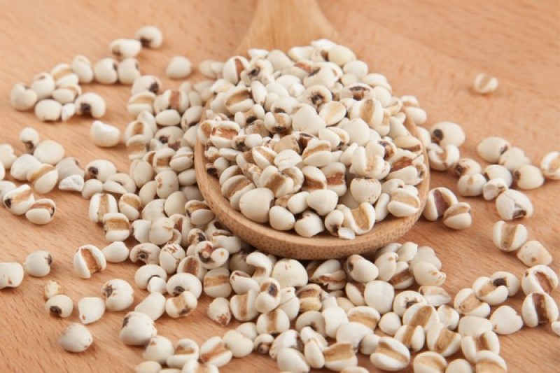 Bộ Y tế yêu cầu thu hồi dược liệu Ý dĩ không đạt tiêu chuẩn chất lượng