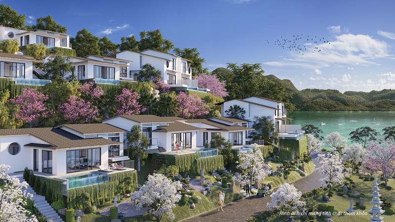 Tròn một năm thay máu, cổ phiếu Hòa Bình Takara (CTP) lao dốc, lãnh đạo mất kiên nhẫn