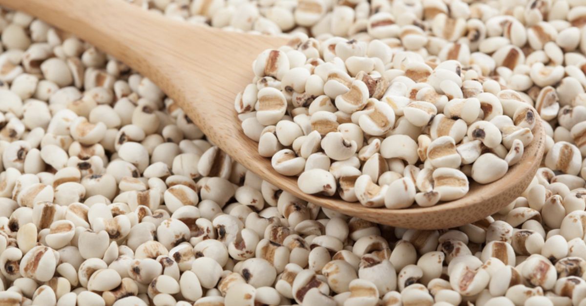 Lâm Đồng Thu hồi toàn bộ lô dược liệu Ý dĩ