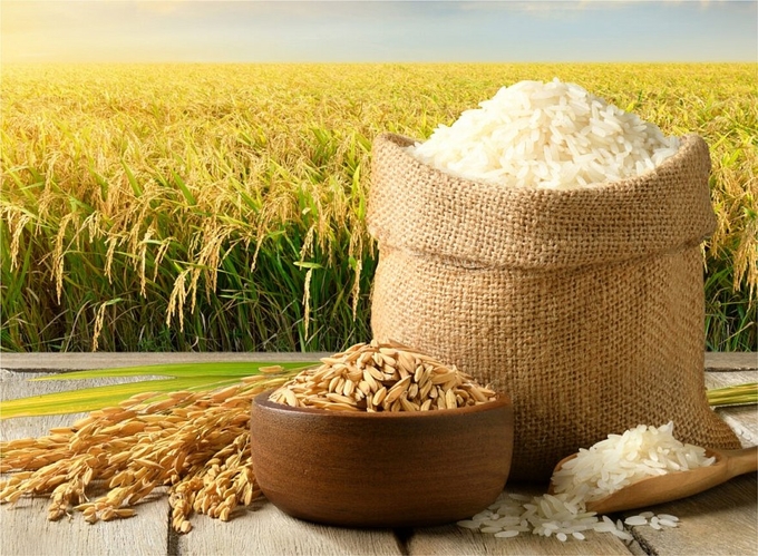 Giá lúa gạo hôm nay 1011 Thị trường ổn định