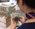 Tín dụng lập đỉnh 5 năm cảnh báo rủi ro lạm phát và tỷ giá 