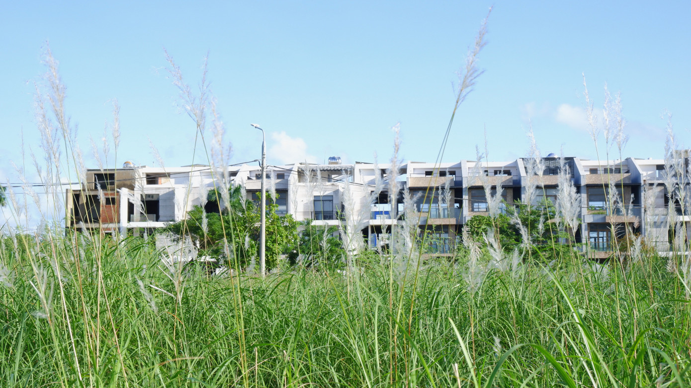 Shophouse ven biển Từ con gà đẻ trứng vàng đến sa mạc bê tông