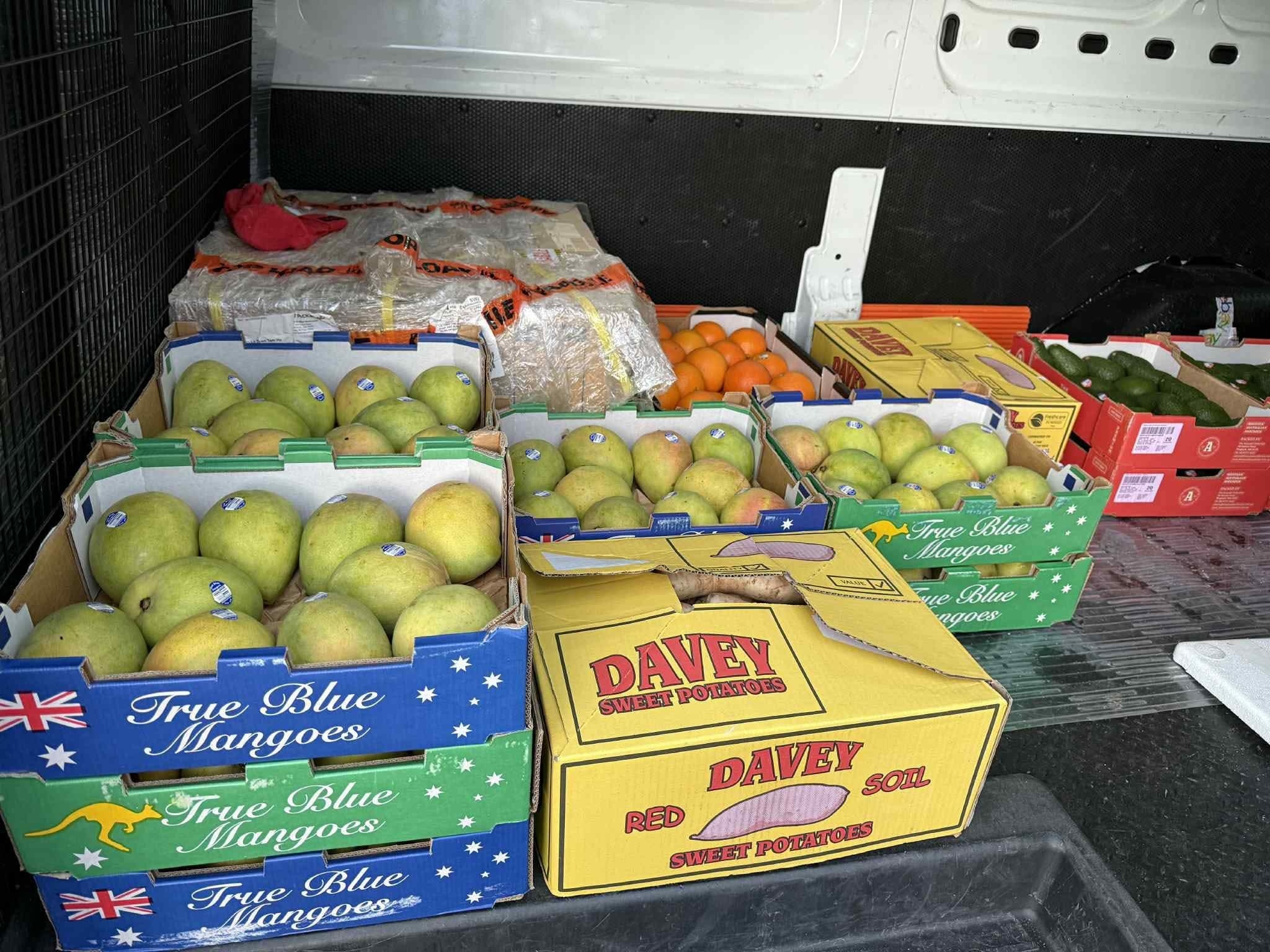 Xoài Úc Kensington Pride giá nửa triệu đến 800.000 đồngkg gây sốt thị trường