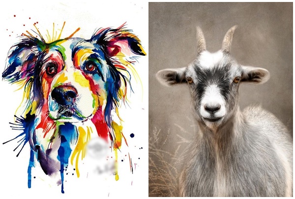 Tử vi 3 con giáp may mắn nhất thứ Bảy (2211) Định sẵn số giàu sang, hút tài lộc cực mạnh