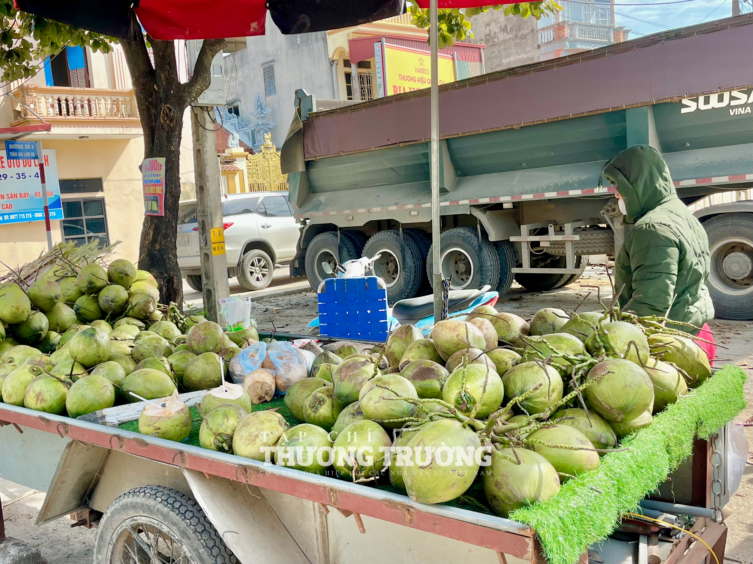 Dừa xiêm giá rẻ tràn ngập Hà Nội, giá chỉ từ 7.000 đồngquả