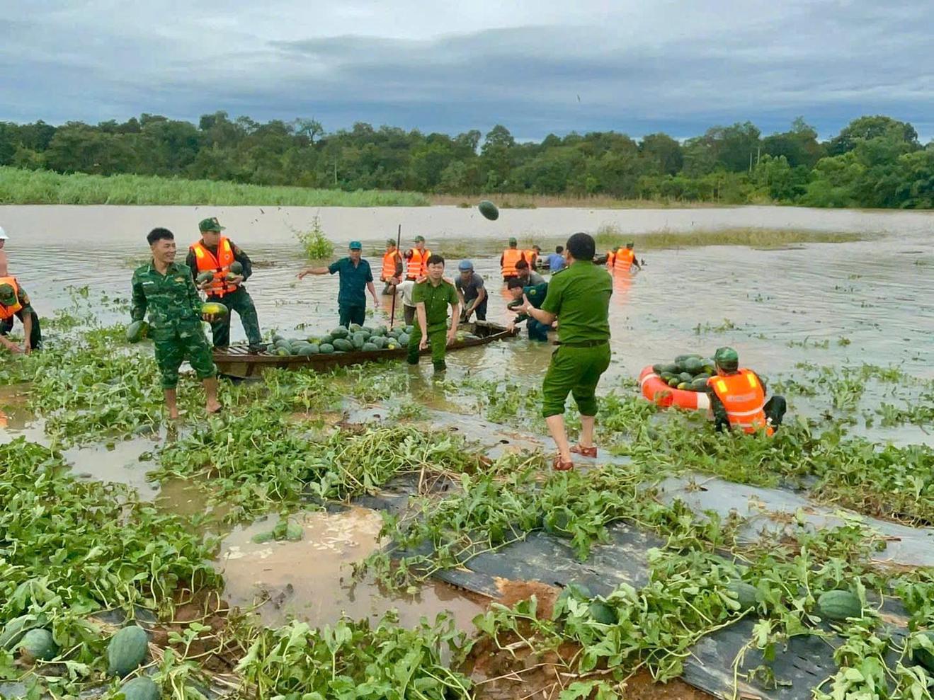 Hỗ trợ khẩn cấp hơn 1.000 tỷ đồng cho 4 tỉnh Khánh Hòa, Lâm Đồng, Gia Lai và Đắk Lắk