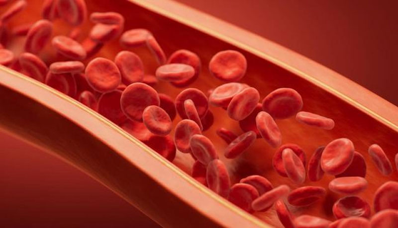 Người có máu sạch thường có 5 đặc điểm, nếu đạt được 4 thì xin chúc mừng!