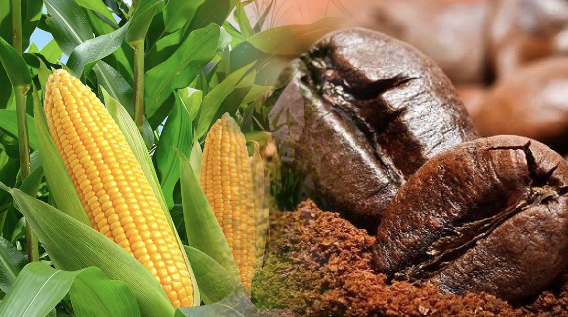 Thị trường hàng hóa 2611 Diễn biến tương đối trái chiều 