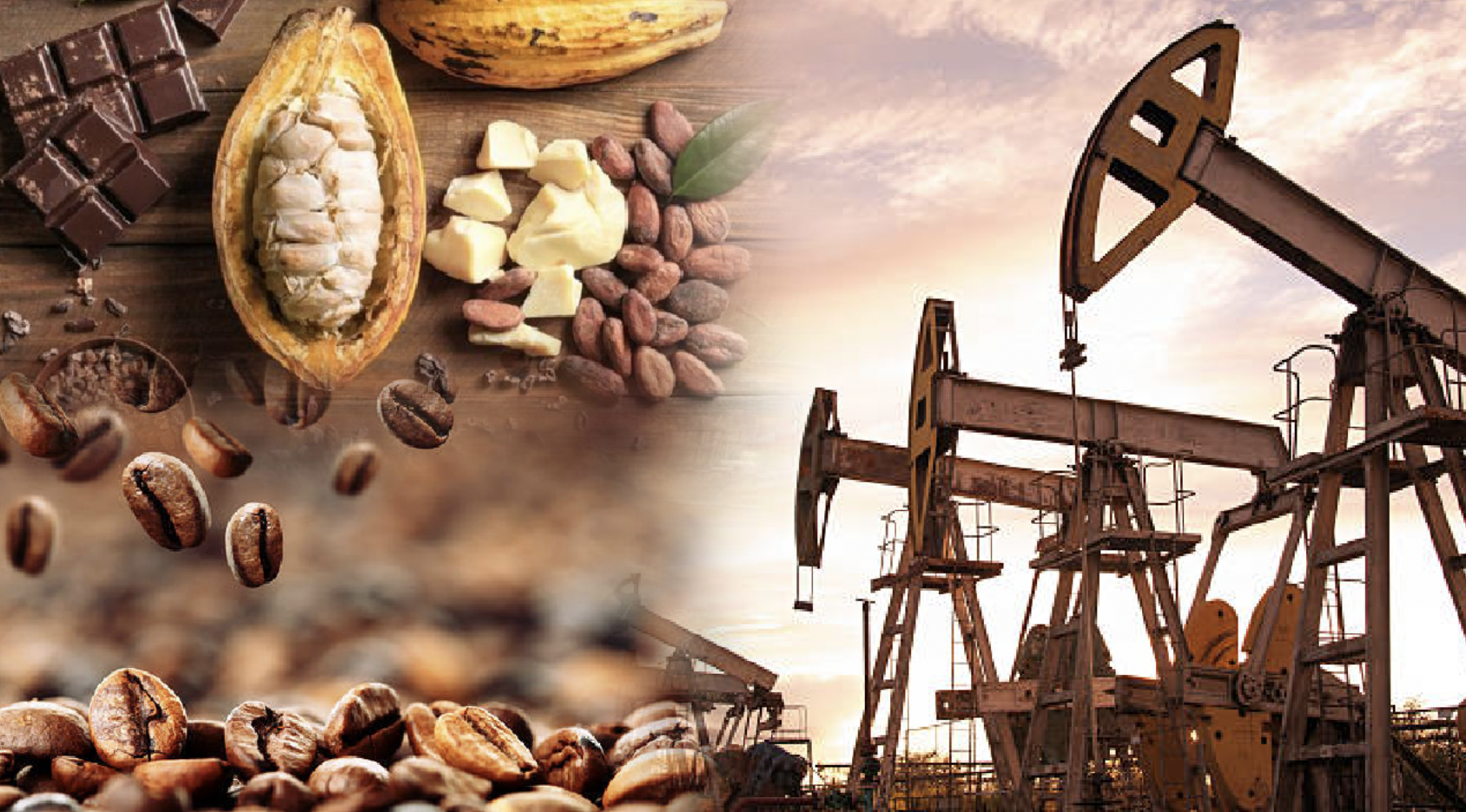 Thị trường hàng hóa 2811 Nhiều mặt hàng ghi nhận lực mua tích cực