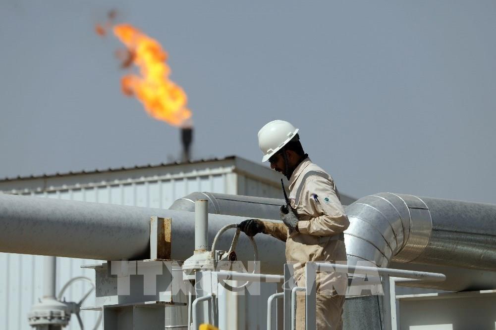 Giá xăng dầu hôm nay 1112 Đảo chiều tăng hơn 1%