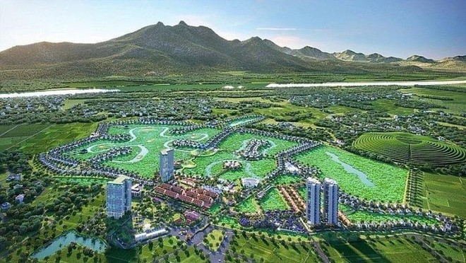 Tập đoàn Đầu tư Thăng Long (TIG) tái cơ cấu danh mục trong bối cảnh lợi nhuận lao dốc