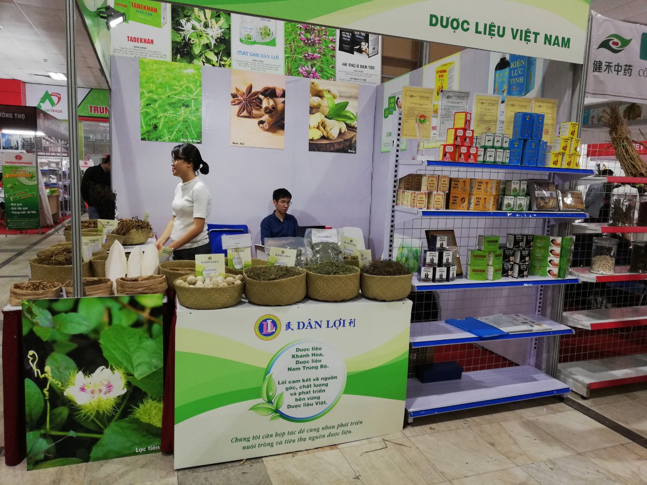 Thu hồi lô dược liệu Tang ký sinh không đạt tiêu chuẩn chất lượng