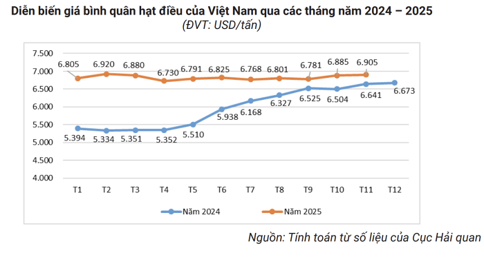 xuat khau hat dieu tien sat moc ky luc 5 ty usd trong nam 2025