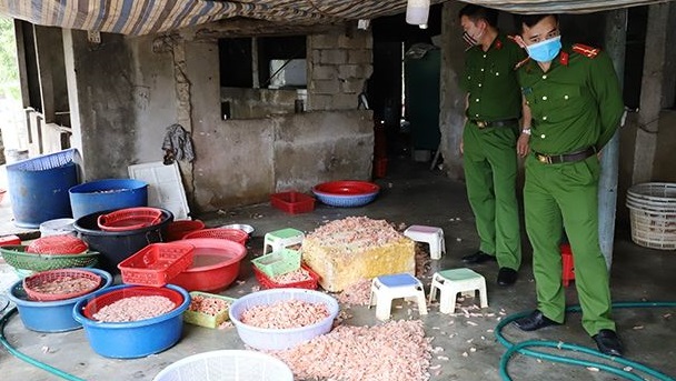 Năm 2025 ghi nhận 19 người tử vong vì ngộ độc thực phẩm, làm gì để bảo vệ người tiêu dùng dịp Tết Bính Ngọ 2026