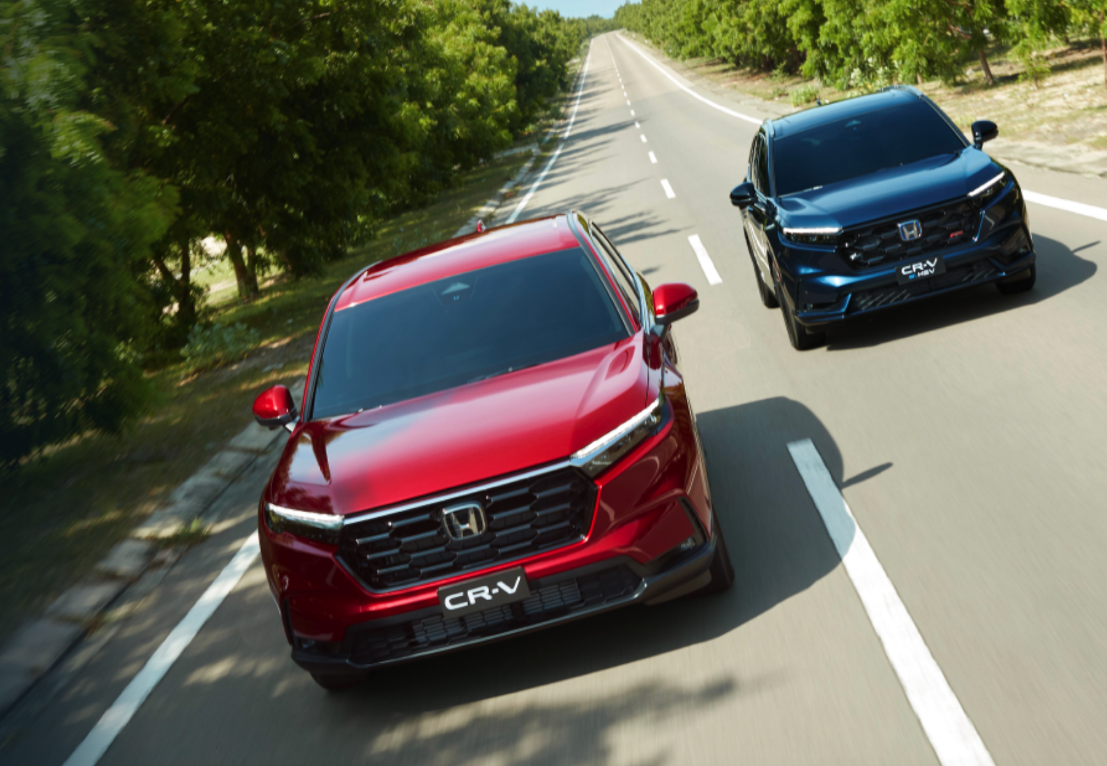 Hybrid - Đối thủ xứng tầm hay kẻ ngáng đường của xe điện tại thị trường Việt