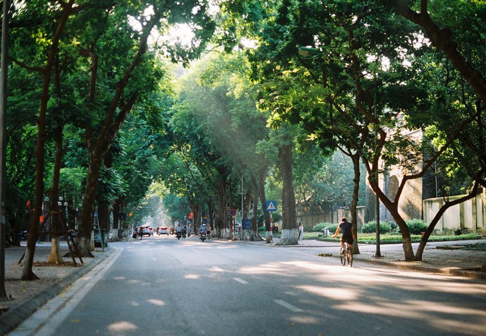 Dự báo thời tiết đêm nay và ngày mai 0112026 Hà Nội và các khu vực trên cả nước