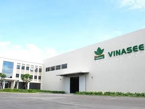 Vinaseed (NSC) dự chi 35 tỷ đồng trả cổ tức đợt 2, hàng tồn kho và nợ vay tăng mạnh