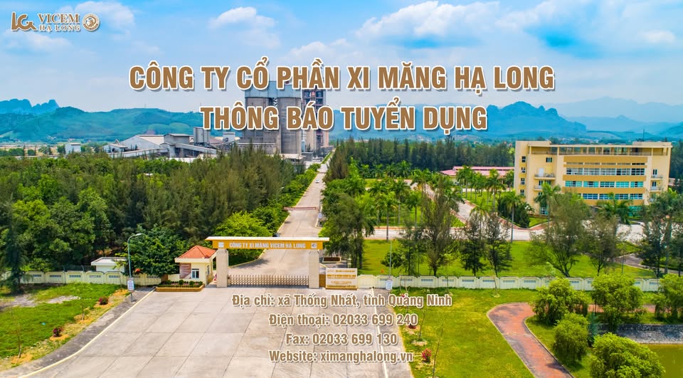 Cựu Tổng Giám đốc Xi măng Hạ Long bị bắt, bí ẩn chữ ký phía sau các gói thầu hàng trăm tỷ đồng