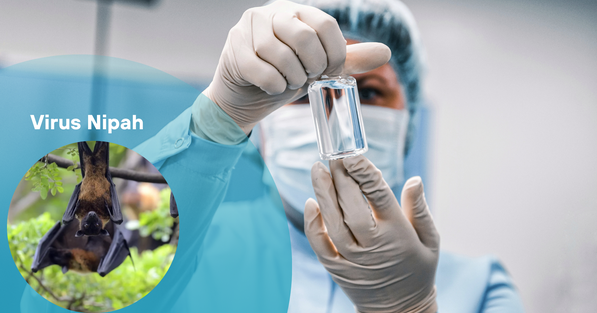 Chủ động từ sớm để bảo vệ “phòng tuyến y tế” trước nguy cơ vi rút Nipah