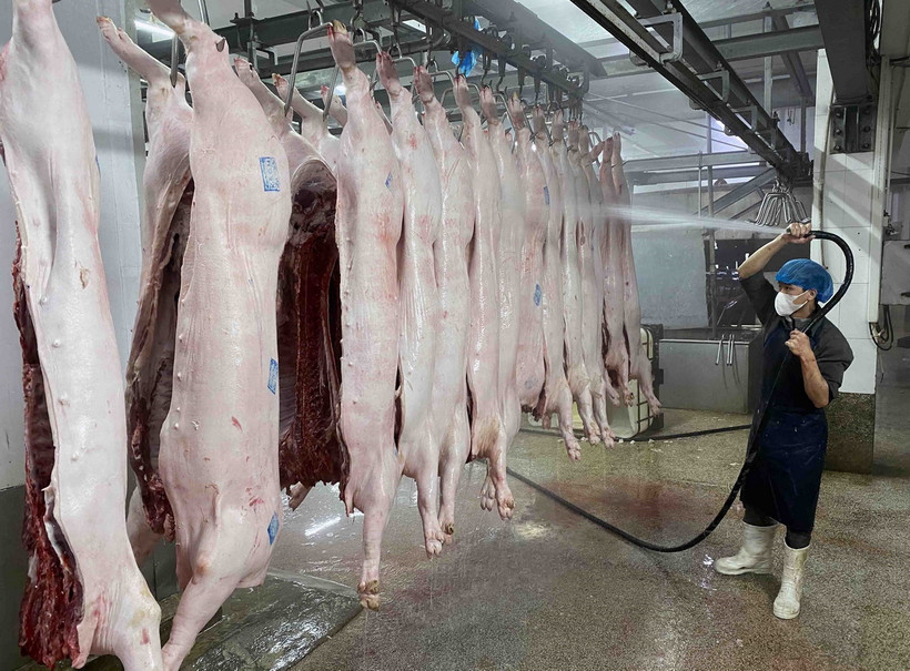 Tây Ninh Siết chặt kiểm dịch giết mổ động vật dịp Tết và Lễ hội Xuân 2026