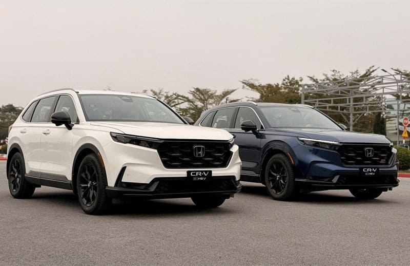 Loạt xe mới dự kiến ra mắt thị trường Việt Nam trong tháng 22026