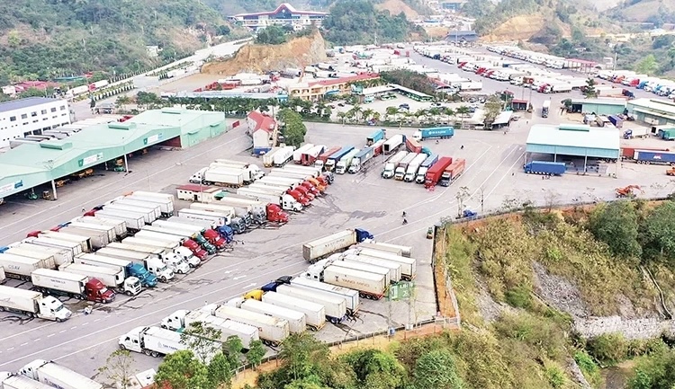 Thủ tướng chỉ đạo tháo gỡ vướng mắc trong triển khai Nghị định 46 về an toàn thực phẩm