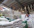 Xuất khẩu gạo giảm sâu lợi nhuận doanh nghiệp niêm yết đảo chiều nhờ tái cấu trúc và kiểm soát chi phí