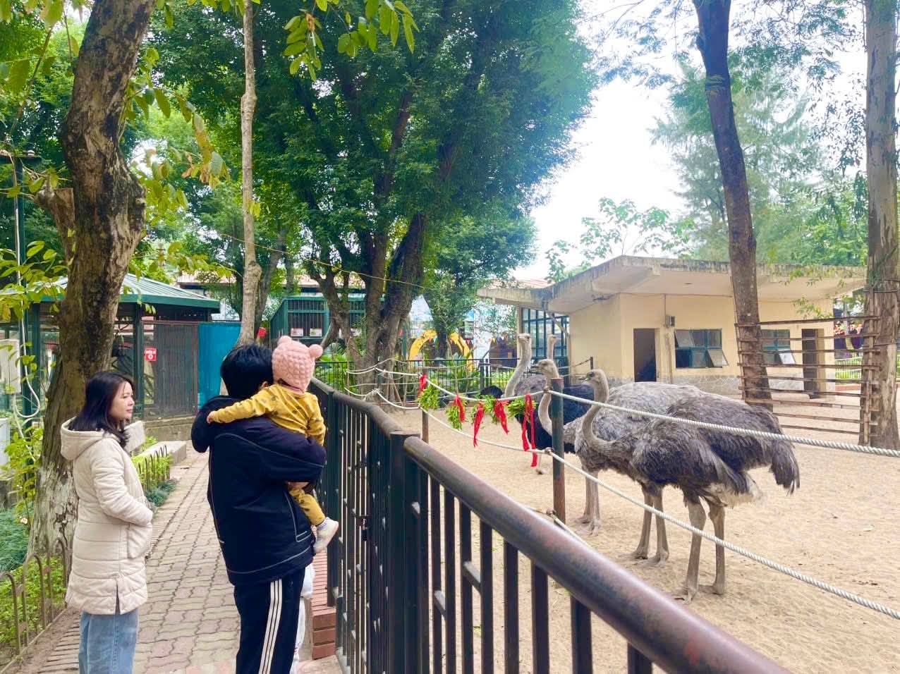 Vườn thú Hà Nội rộn ràng khoác áo xuân, sẵn sàng đón khách du xuân