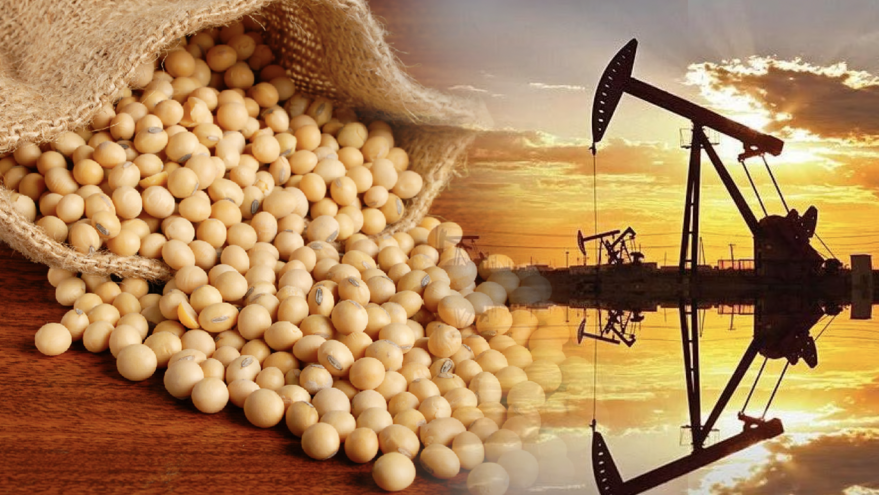 Thị trường hàng hóa 252 Áp lực bán chi phối nhóm năng lượng