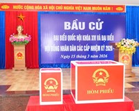 Tổ chức công nghệ và niềm tin Ba yếu tố then chốt cho kỳ bầu cử tại Hải Phòng