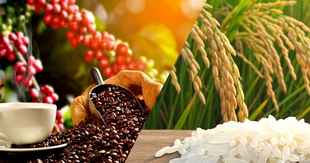 Giá nông sản hôm nay 63 Cà phê và hồ tiêu đồng loạt tăng, gạo ổn định, sầu riêng giữ giá cao