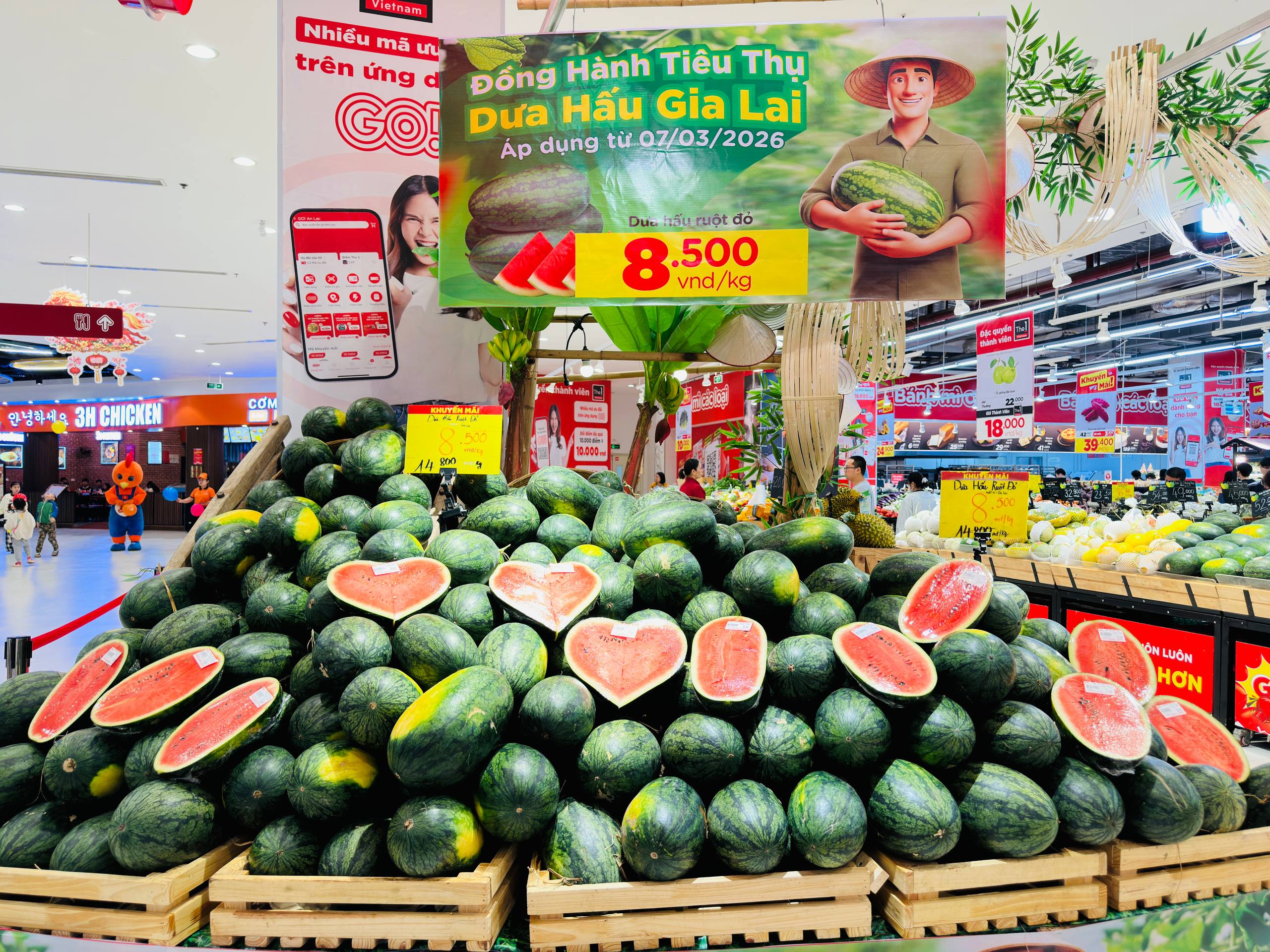 Doanh nghiệp bán lẻ tham gia hỗ trợ tiêu thụ dưa hấu Gia Lai