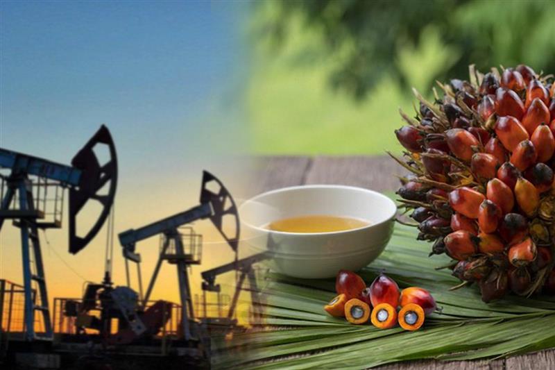 Thị trường hàng hóa 103 Sắc xanh bao phủ trên bảng giá